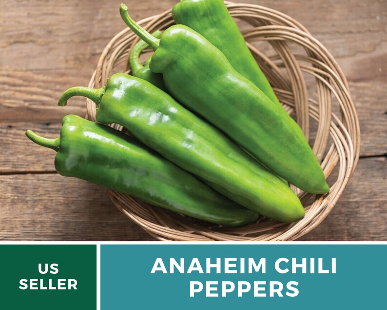 May include: A basket of green Anaheim chili peppers. US Seller.