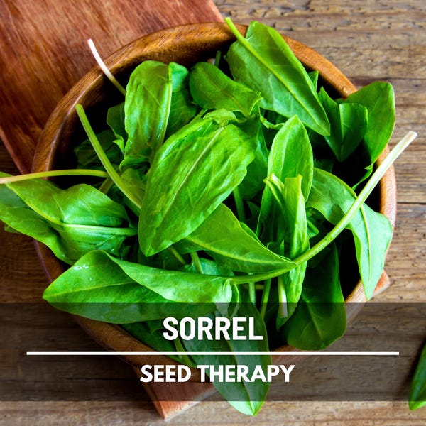 Semillas de acedera: Hierba tradicional con sabor a limón, ideal para el jardín culinario (200 semillas)