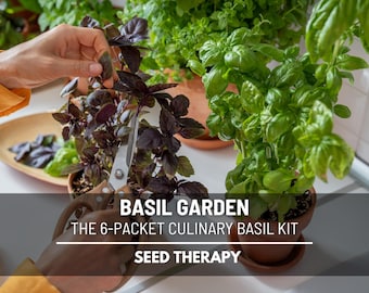 Basil Seeds Variety Pack, 6 Heirloom Varieties, Genovese, Thai, Holy Basil, Lemon and Purple