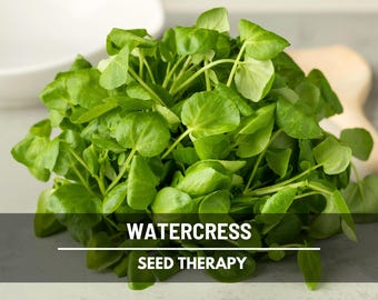 Watercress Seeds – Heirloom Vegetable, Culinary & Medicinal Herb, Waterfowl Friendly, Garden Essential | 200 Seeds