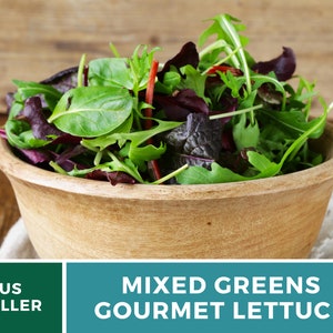 May include: A wooden bowl filled with a vibrant mix of fresh gourmet lettuce. The greens include various shades of green and deep red leaves. The text on the image reads "MIXED GREENS GOURMET LETTUCE".