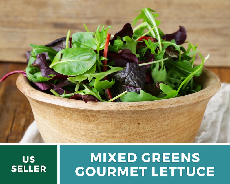 May include: A wooden bowl filled with a vibrant mix of fresh gourmet lettuce. The greens include various shades of green and deep red leaves. The text on the image reads "MIXED GREENS GOURMET LETTUCE".