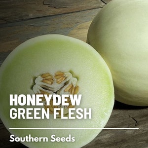 May include: A halved honeydew melon with green flesh and seeds, next to a whole honeydew melon. The text "HONEYDEW GREEN FLESH" and "Southern Seeds" is visible.
