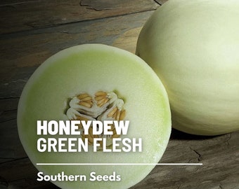 Melon, Green Flesh Honeydew - 20 Seeds - Heirloom Fruit - Non-GMO (Cucumis melo)