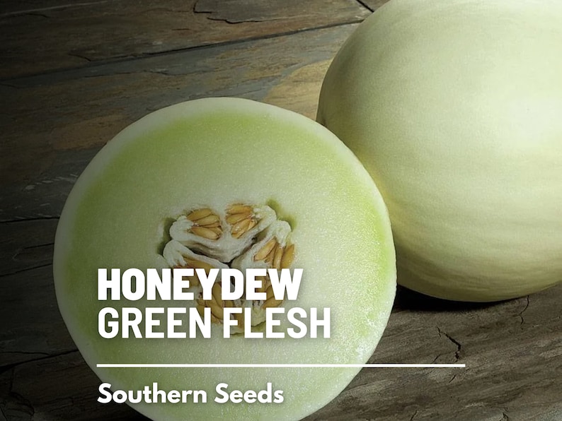 May include: A halved honeydew melon with green flesh and seeds, next to a whole honeydew melon. The text "HONEYDEW GREEN FLESH" and "Southern Seeds" is visible.