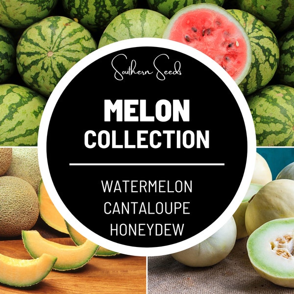 Melon Seed Collection - Watermelon, Cantaloupe, Honeydew - Heirloom Fruits: Indulge in the sweet flavors of summer with this collection