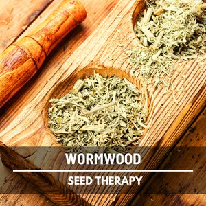 Wormwood Seeds – Heirloom Herb, Silver-Gray Foliage, Strong Aromatic Scent, Medicinal and Culinary Uses, Easy to Grow | 200 Seeds image 5