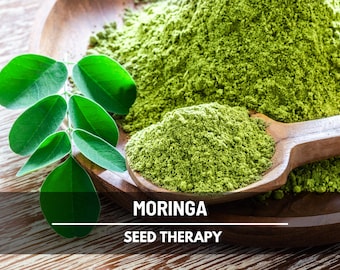 Moringa Seeds – Heirloom Drumstick Tree, Medicinal, Culinary, Herbal Teas, Edible Leaves, Fast Growing | 10 Seeds