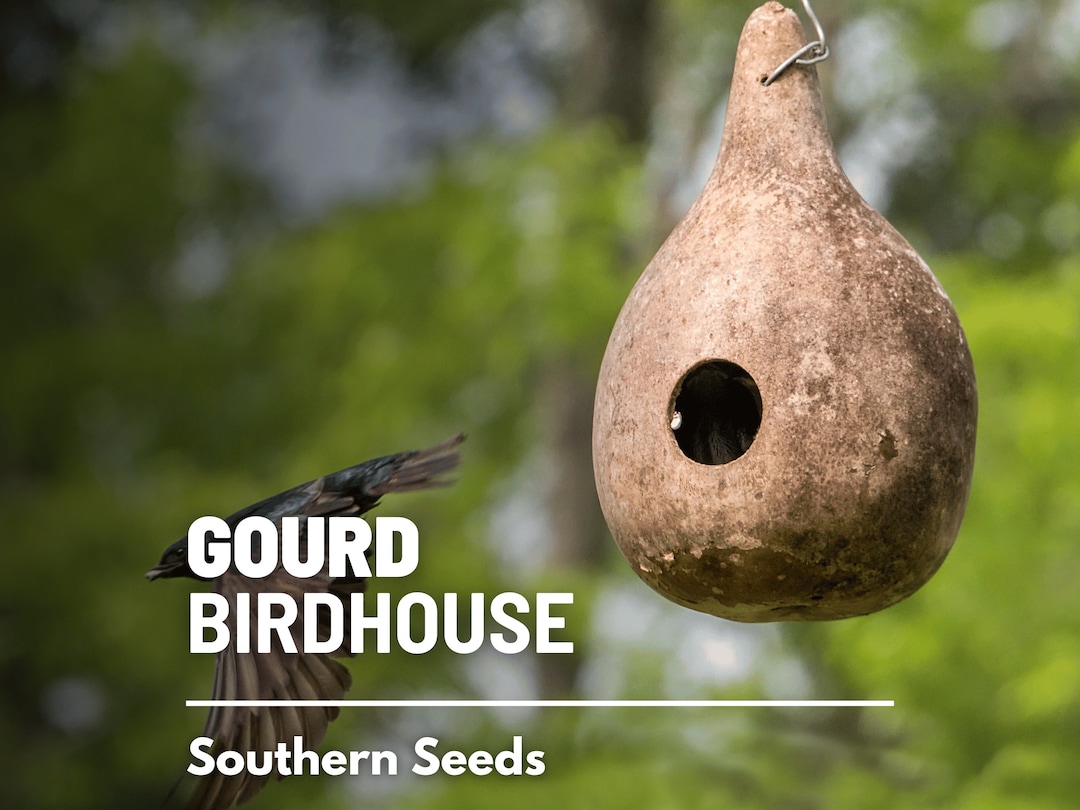 Bonnet BÃ©bÃ© Naissance Bonnet BrassiÃ¨re En Laine Pour BÃ