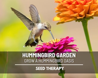 Hummingbird Garden Seed Collection – 10 Heirloom Flower Varieties, Create a Pollinator Paradise & Hummingbird Haven Outdoors