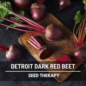 Detroit Dark Red Beet Seeds – Heirloom, Dual-Purpose Roots & Greens, Nutritious Red-Veined Leaves | 200 Seeds