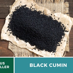 May include: A close-up image of black cumin seeds on a brown paper and burlap background. The seeds are small and black, and they are arranged in a pile. The text "BLACK CUMIN" is visible in the lower right corner of the image.