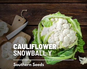 Cauliflower, Snowball Y Improved - 200 Seeds - Heirloom - Open Pollinated - Non-GMO (Brassica Oleracea)