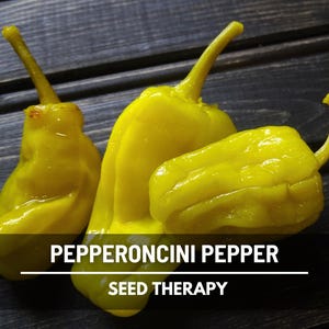Pepperoncini Pepper Seeds – Heirloom Mild & Tangy Pepper, Classic for Pickling, Open Pollinated | 25 Seeds