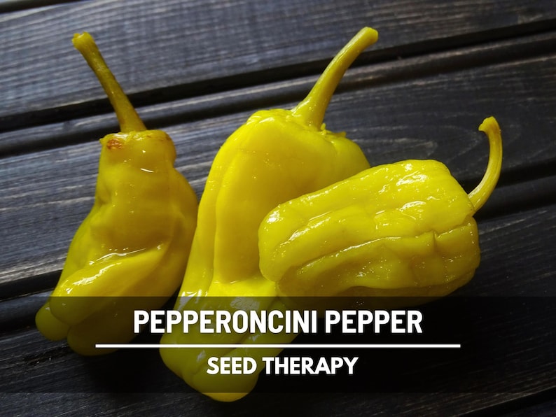 Graines de poivre Pepperoncini - Poivre ancien doux et piquant, classique pour la marinade, pollinisation libre | 25 graines image 1