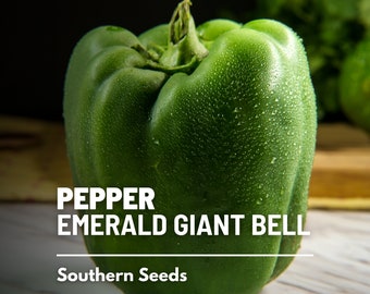 Pepper, Emerald Giant Sweet Bell - 30 Seeds - Heirloom Vegetable - Large Bell Pepper - Open Pollinated - Non-GMO (Capsicum annuum)