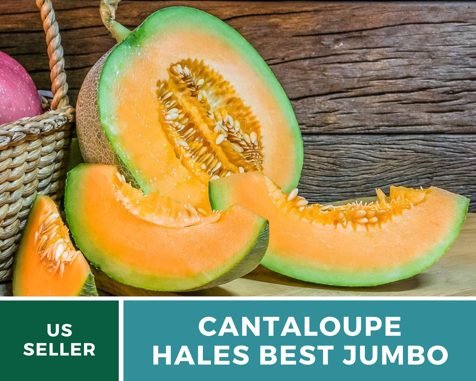 Melon Hales Best Jumbo Cantaloupe 20 Seeds Heirloom Etsy