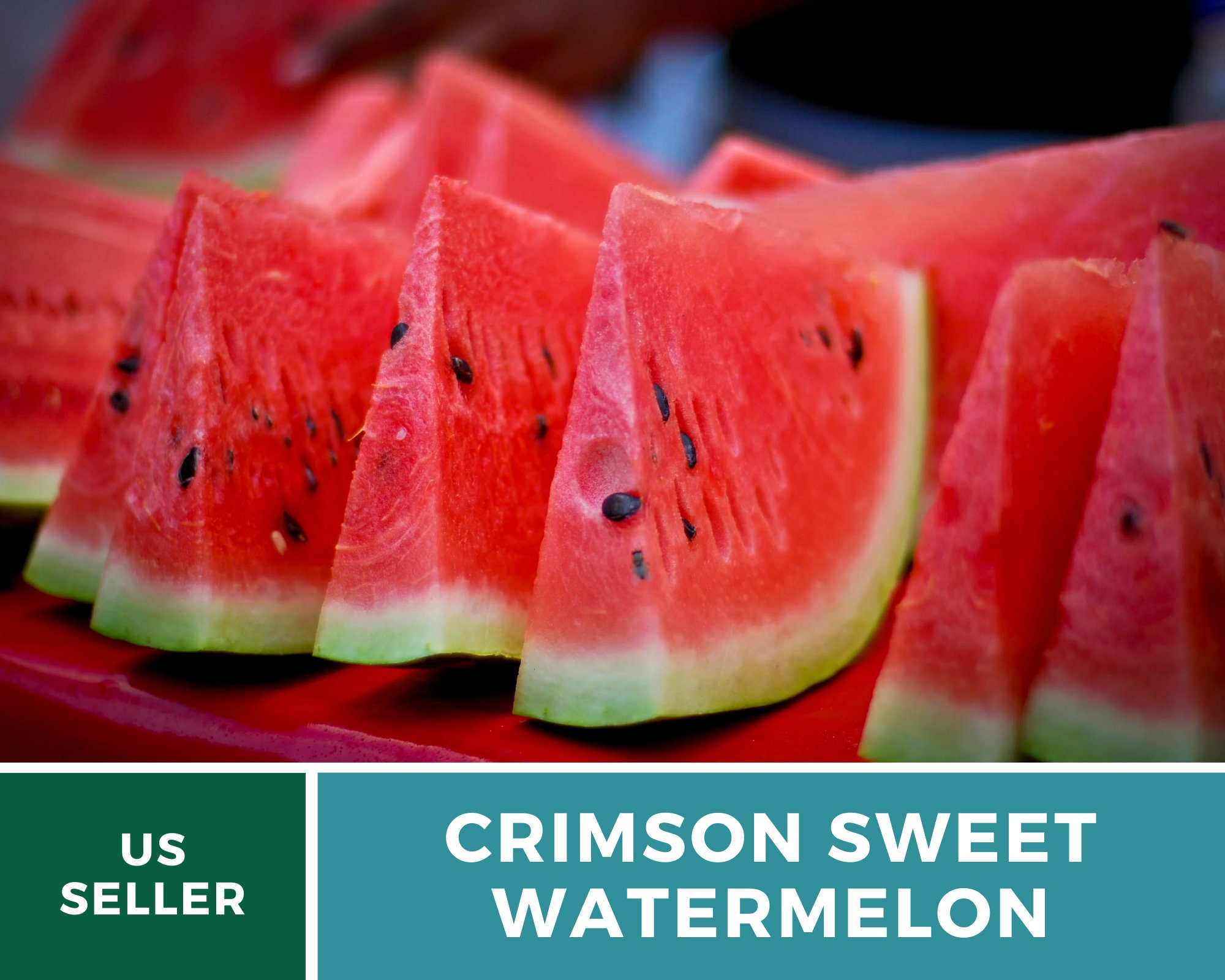 Semillas de Sandía Dulce Carmesí: Fruta tradicional, melón grande, dulce y  jugoso, perfecto para barbacoas, picnics y fiestas, fácil de cultivar / 25  semillas - Etsy México, image size:2000x1600