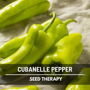 Cubanelle Pepper Seeds – Heirloom Sweet Pepper, Italian Frying Pepper, Mild Flavor, Non-GMO | 25 Seeds