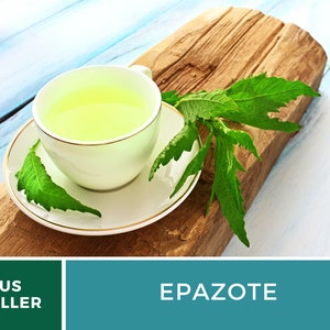 May include: A white cup of green tea with fresh epazote leaves on a wooden surface. The text "US SELLER" and "EPAZOTE" are visible in the image.
