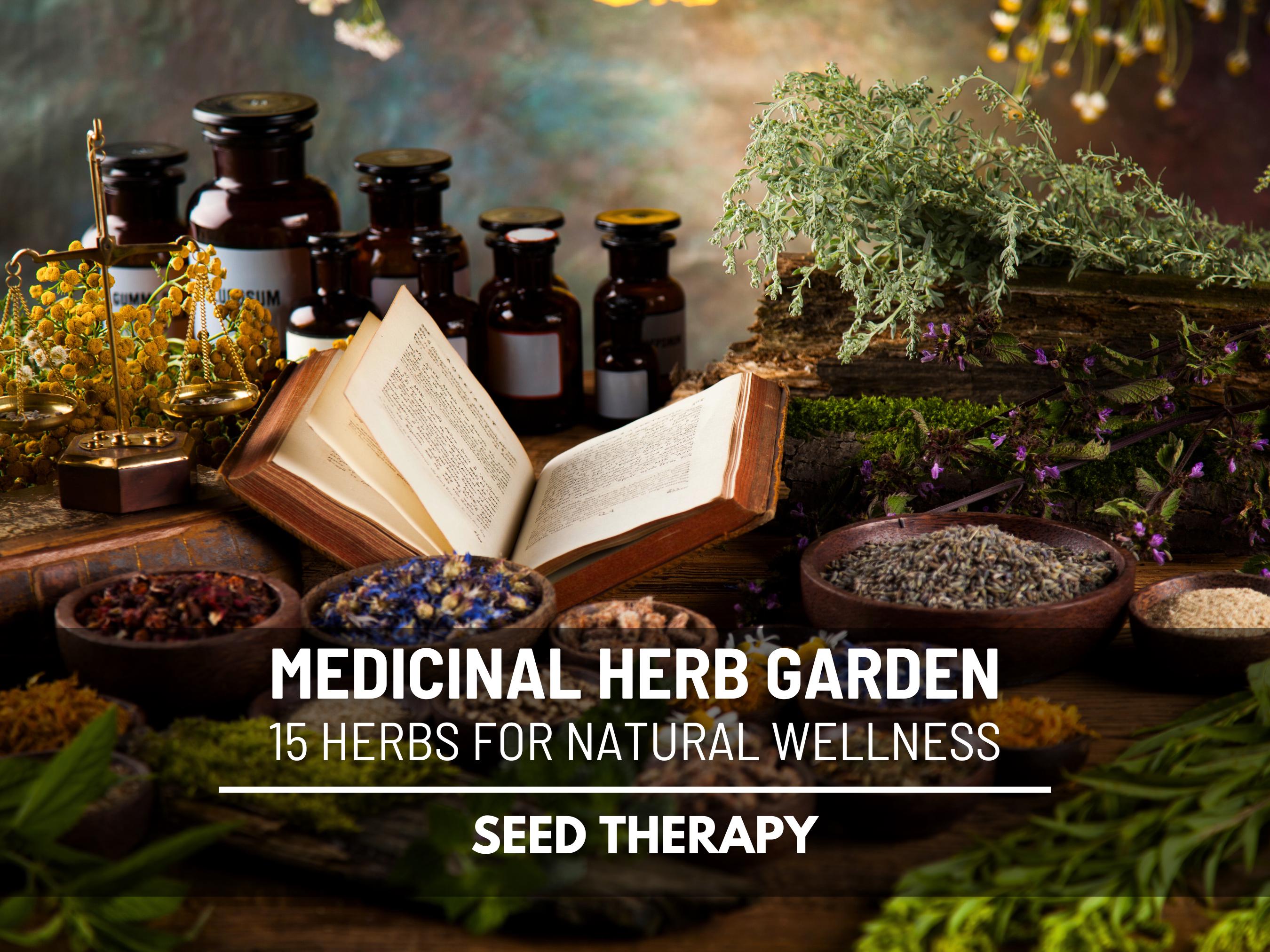 Medicinal Herb Seed Collection – 15 Essential Heirloom Herbs, Healing Garden Kit for Wellness and Natural Remedies, Non-GMO