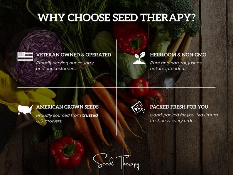 Gold Nugget Tomato Seeds – Heirloom Vegetable, Determinate Plant, Cherry Tomato, Non-GMO, Easy to Grow | 50 Seeds image 8