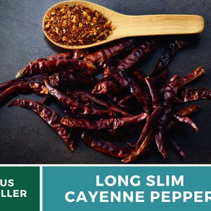 May include: Dried long slim cayenne peppers, a pile of red chili peppers, and a wooden spoon filled with crushed red pepper flakes.