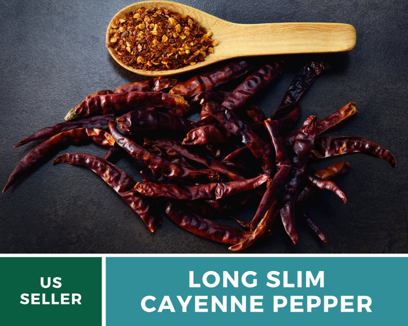 May include: Dried long slim cayenne peppers, a pile of red chili peppers, and a wooden spoon filled with crushed red pepper flakes.