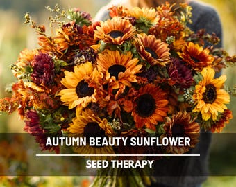 Autumn Beauty Sunflower Seeds – Heirloom, Warm Multicolored Blooms (25 Seeds)