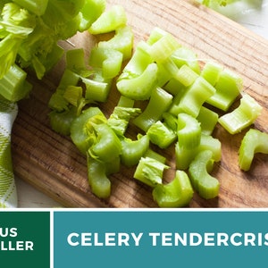 May include: Close-up of a wooden cutting board with chopped celery. The celery is green and has been cut into small pieces. The cutting board is made of light wood and has a natural grain. The celery is arranged in a pile on the cutting board.  CELERY TENDERCrisp