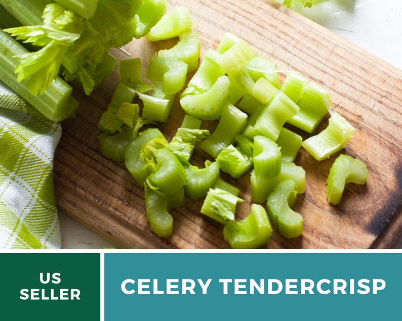 May include: Close-up of a wooden cutting board with chopped celery. The celery is green and has been cut into small pieces. The cutting board is made of light wood and has a natural grain. The celery is arranged in a pile on the cutting board.  CELERY TENDERCrisp