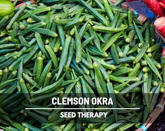 Semillas de okra sin espinas de Clemson: ganadora de la certificación AAS Heirloom, alto rendimiento (50 semillas)