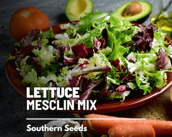 Lettuce, Mesclun Mix - 500 Seeds - Heirloom Vegetable - Open Pollinated - Non-GMO (Lactuca sativa)