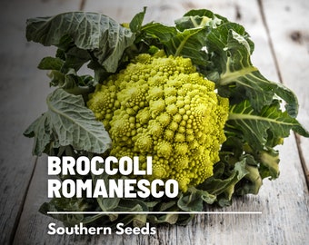 Broccoli, Romanesco - 100 Seeds - Heirloom Vegetable - Open Pollinated - Non-GMO (Brassica oleracea)