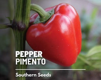 Pepper, Pimento Sweet - 25 Seeds - Heirloom Vegetable - Open Pollinated - Non-GMO - Used in Pimento Cheese(Capsicum annuum)