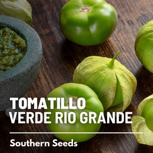 Tomatillo, Verde Rio Grande - 50 Seeds - Heirloom Vegetable, Large Fruit, Determinate, Compact Plant (Physalis ixocarpa)