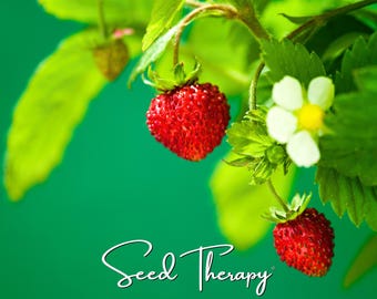 May include: Two ripe red strawberries hang from a green plant with serrated leaves and a small white flower with a yellow center. The text Seed Therapy is written in a white cursive script at the bottom against a solid green background.
