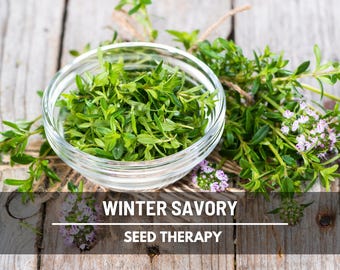 Winter Savory Herb Seeds – Heirloom Culinary Plant, Robust Flavor (100 Seeds)