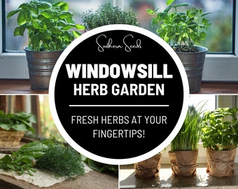 Windowsill Herb Seed Collection - 6 Culinary Herbs - Heirloom - Non-GMO, Garden Gift, Easy to Grow