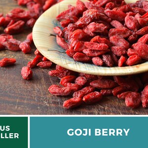 May include: A close-up of dried goji berries, a vibrant red color, spilling from a decorative wooden bowl with a blue and white rim. The berries are scattered on a rustic, dark brown wooden surface. The text "GOJI BERRY" is displayed.