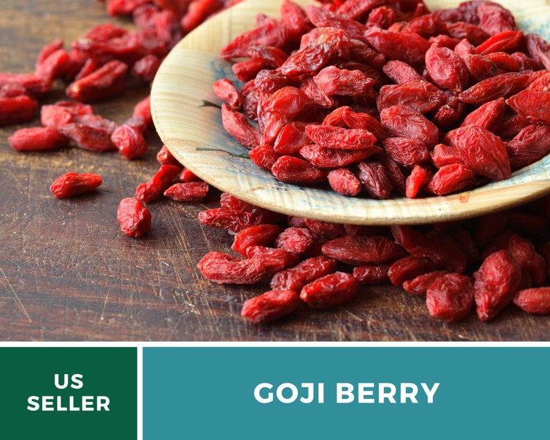May include: A close-up of dried goji berries, a vibrant red color, spilling from a decorative wooden bowl with a blue and white rim. The berries are scattered on a rustic, dark brown wooden surface. The text "GOJI BERRY" is displayed.