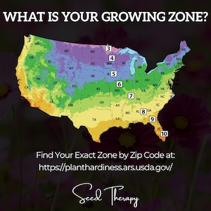 USA planting zone map from Seed Therapy showing growing regions