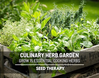 Culinary Herb Seed Collection – 15 Varieties, Essential Kitchen Garden Starter Kit, Includes Basil, Thyme & More