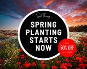 Artikel aus diesem Shop