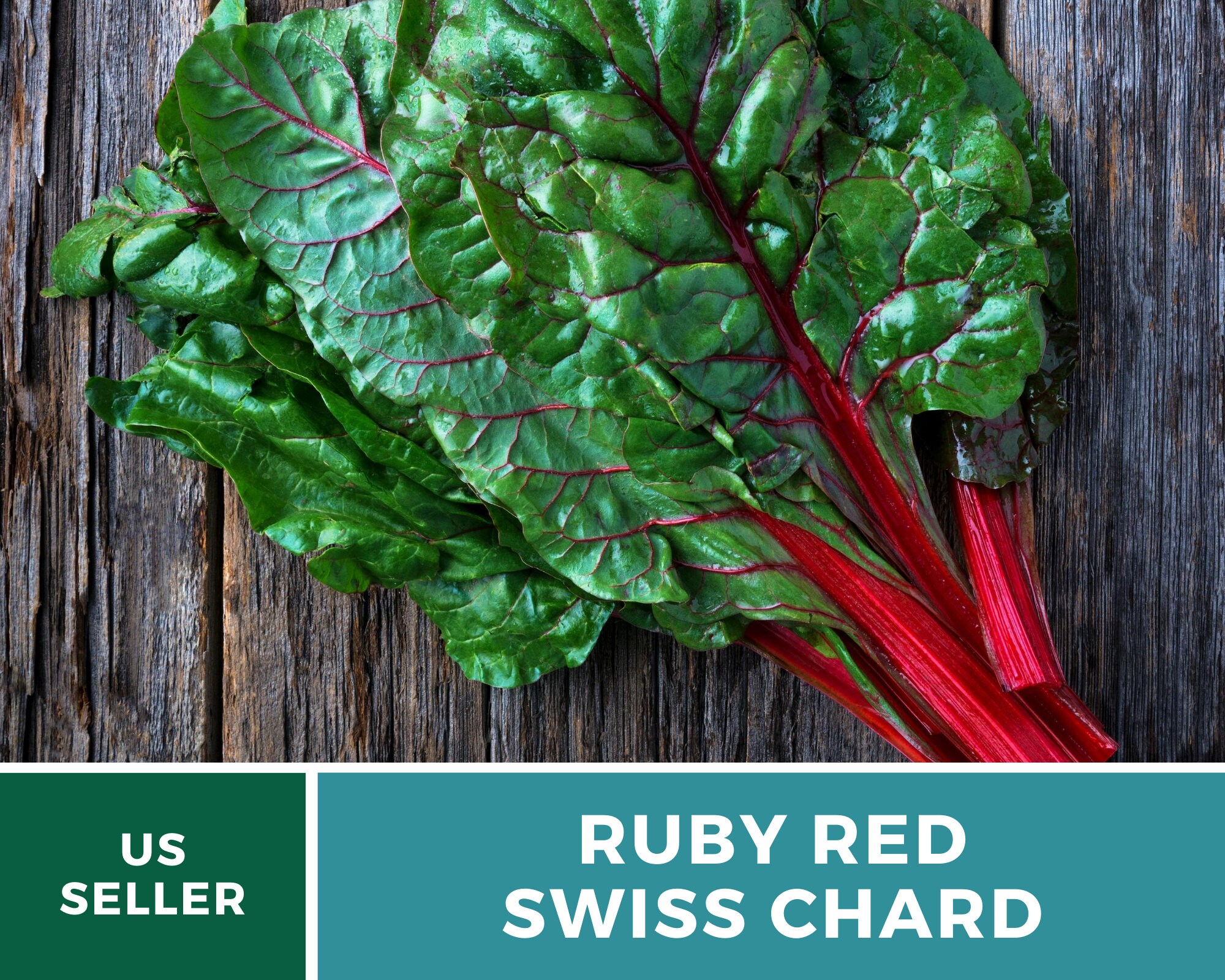 Swiss Chard Ruby Red 100 Seeds Sow Spring Through Fall Etsy