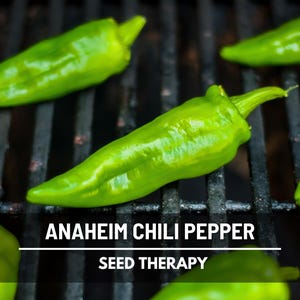 Anaheim Chili Pepper Seeds – Heirloom, Mild Heat, for Roasting, Stuffing & Chile Rellenos, Non-GMO | 25 Seeds