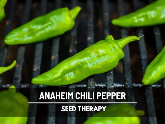 Anaheim Chili Pepper Seeds – Heirloom, Mild Heat, Non-GMO (25 Seeds)