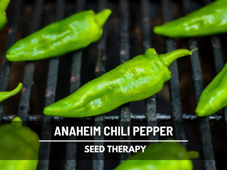 Anaheim Chili Pepper Seeds, Mild Southwest Heirloom Vegetable (25 Seeds) image 1