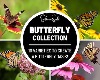 Butterfly Garden Seed Collection - 10 Varieties: Create a colorful haven for butterflies with nectar-rich flowers