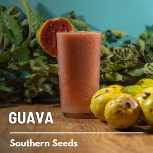 May include: A glass of pink guava juice with a slice of guava on the rim. The glass is sitting on a wooden table with several whole guavas around it. The text "GUAVA" and "Southern Seeds" is visible on the table.
